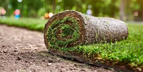 Handy Jack Trade Price Turf and Topsoil