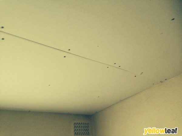 Toms Plastering