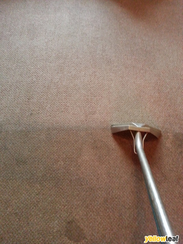 Forest Lea Carpet & Upholstery Cleaning