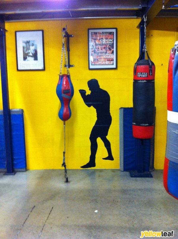 Dynamo Boxing Training
