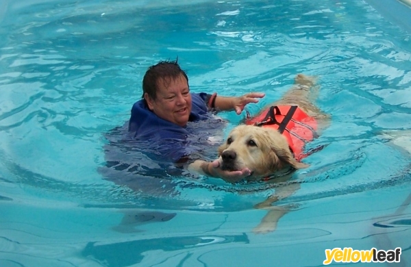 Doggie Paddles