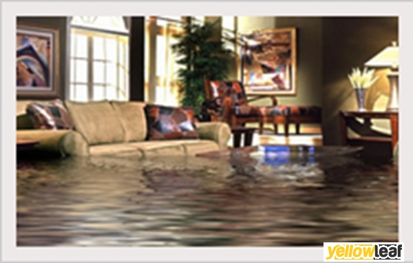 Public Loss Adjusters