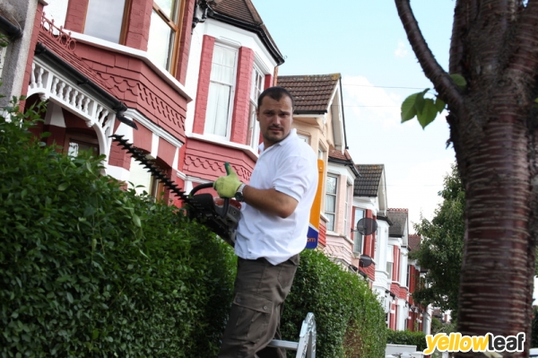 Gardening Services Shoreham