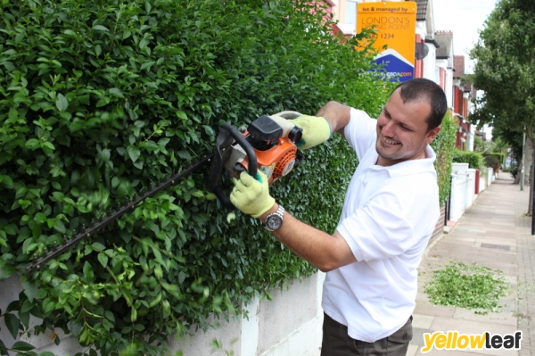 Gardening Services Cranbrook