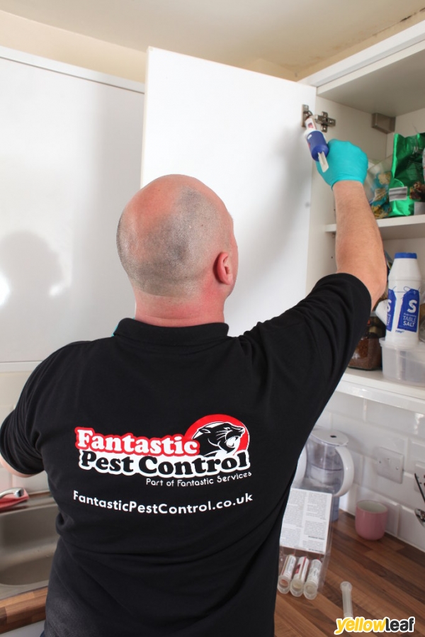 Fantastic Pest Control