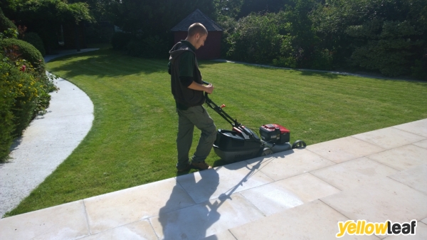 Gardening Services Bean
