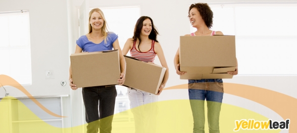 Bright Lift Removals London