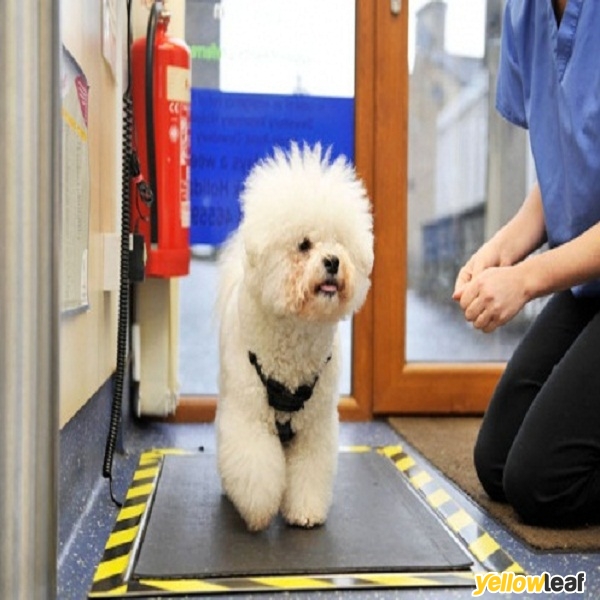 Calder Vets Huddersfield