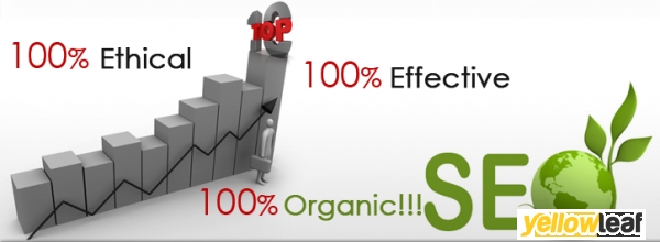 Q2 Serves Infotech-Affordable Seo Services