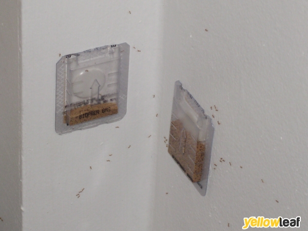 Predator Pest Solutions Ltd