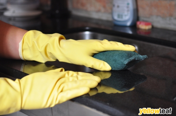 Professional Oven Care