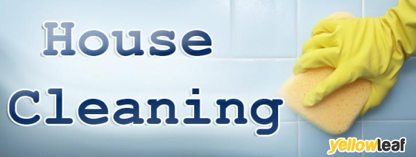 The Cleaning Biz Shoreham