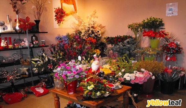 Blooms Florists