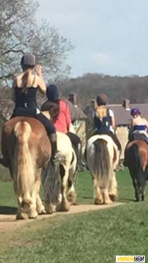 Rmc Equestrian Centre