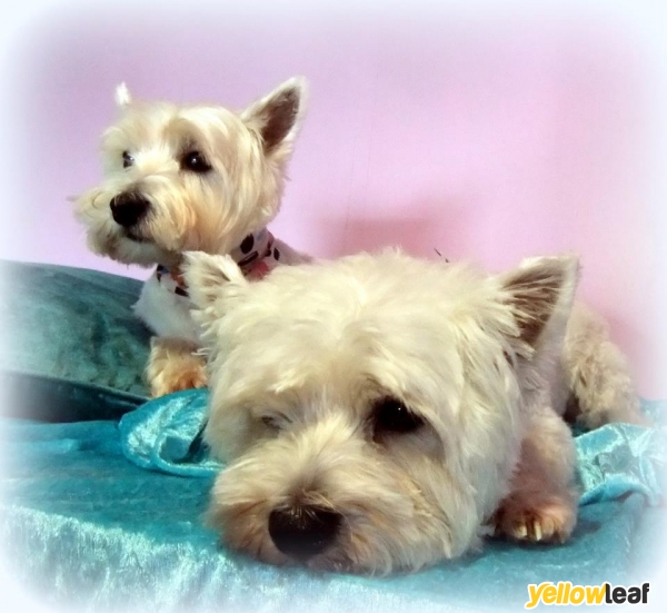 Mutley Makeovers