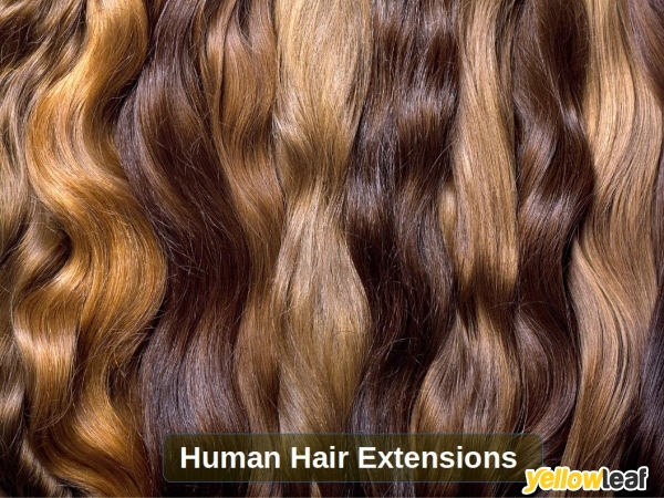 Hair Extensions by Kirill