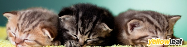 Clayhill Veterinary Centre