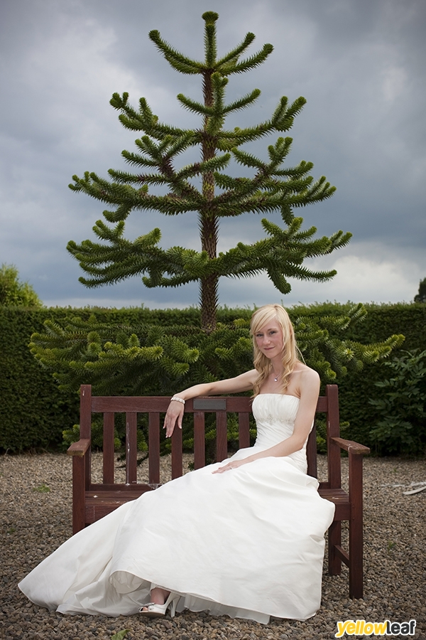 Wonderland Wedding Photography