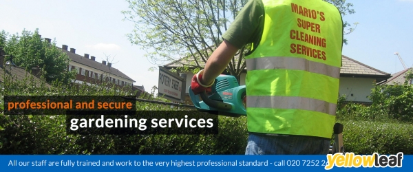 Mario's Super Cleaning Services