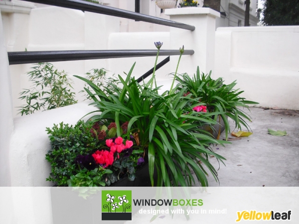 Window Boxes Company