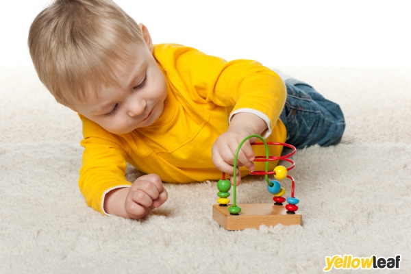 Deluxe Dry Carpet Cleaning
