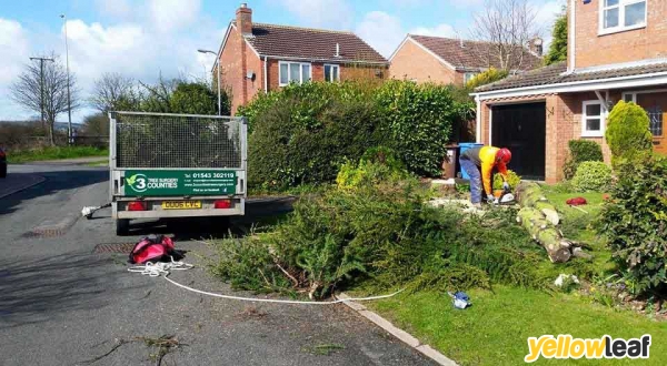 3 Counties Tree Surgery
