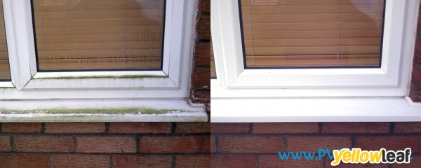PVC & Patio Clean