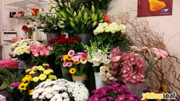 Prima Flora