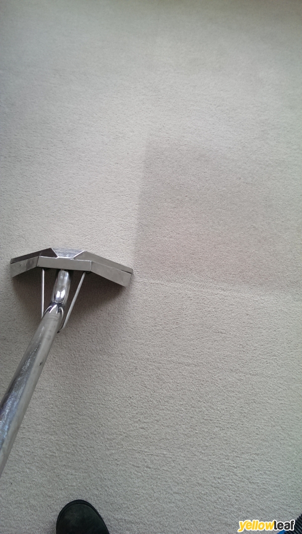 MW Carpet Care