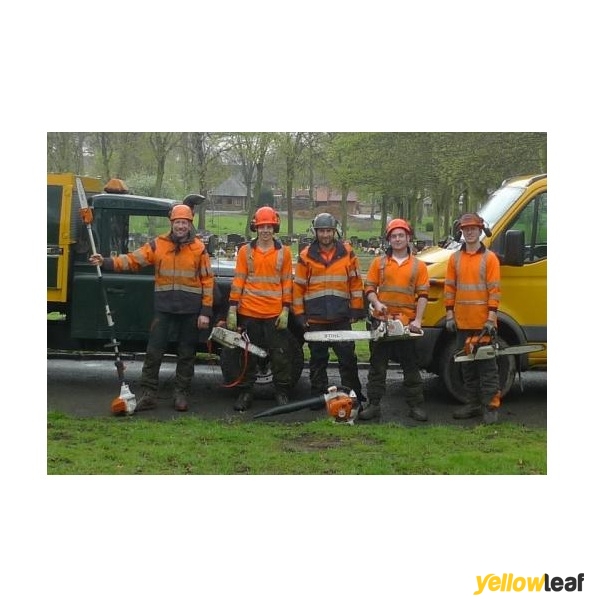 Canopy Tree Services Nottingham