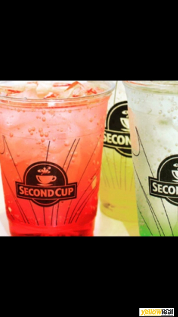 Second Cup 