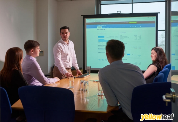 The Smart Accountants