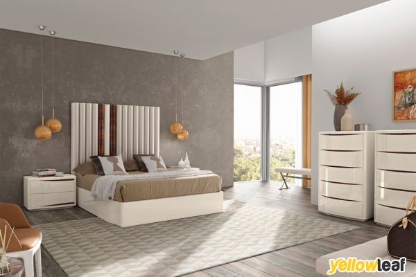 Modish Furnishings