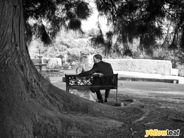 Dinky Pics Portrait Photography & SVP Wedding Photography