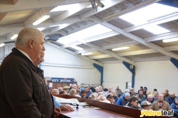 Jim Ronan Freelance Auctioneer