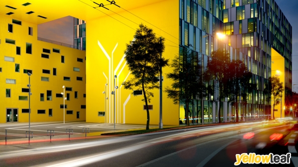 Ocula Motion Graphics