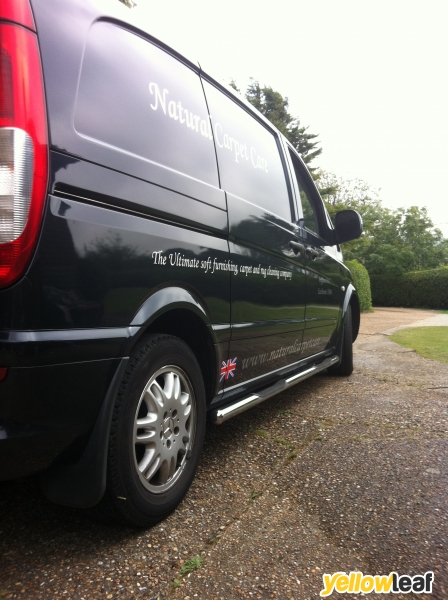 Scrub Carpet And Rug Care