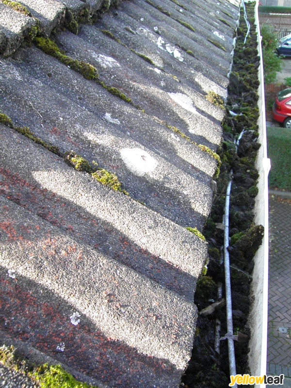 GCS Gutter Cleaning Specialists
