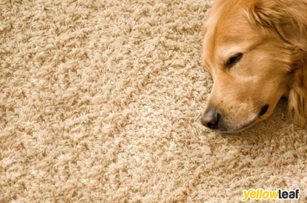 Fresher Carpets Coventry