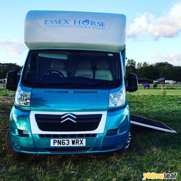 Essex Horse Transport