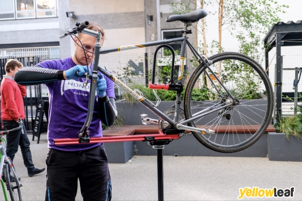 Honor Cycles