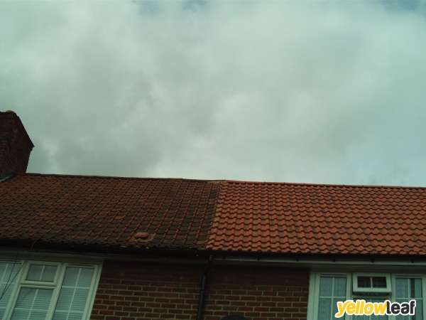 All Roof Care