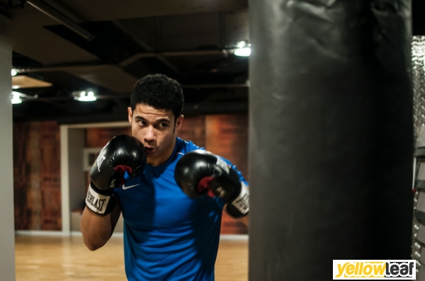 SF Personal Trainer London
