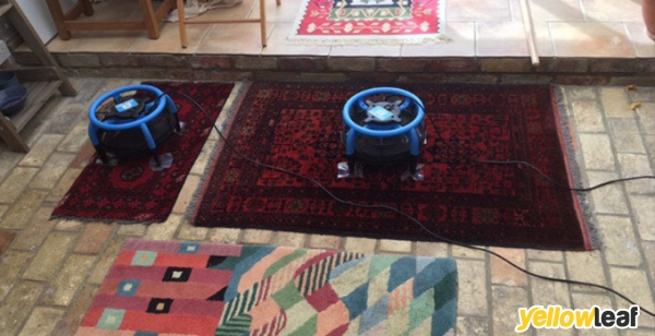 Whitegate Cleaning Services
