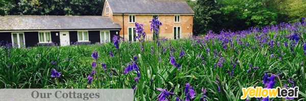The Marquis at Alkham