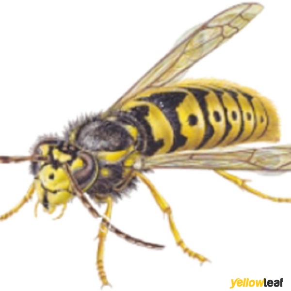 Countrywide Pest Control - Newbury