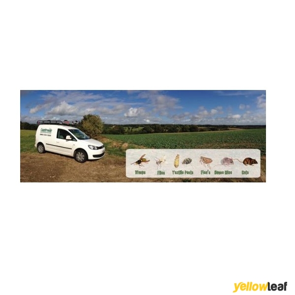 Countrywide Pest Control - Reading