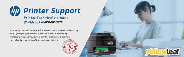 HP Printer Support