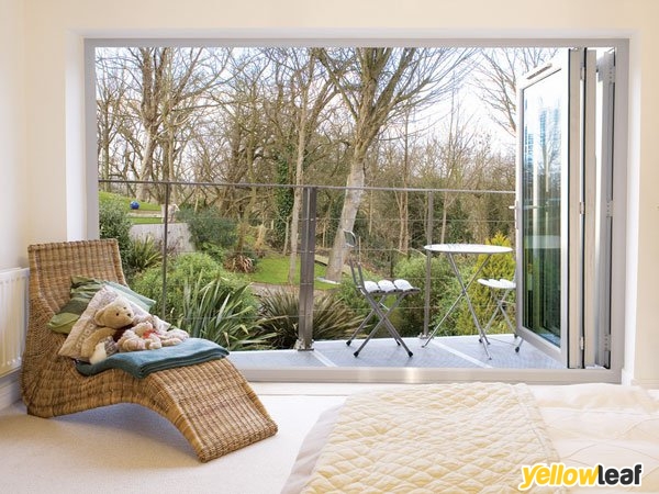 Polar Bear Windows