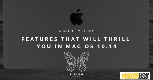 FIFIUM | Mobile application Development Company